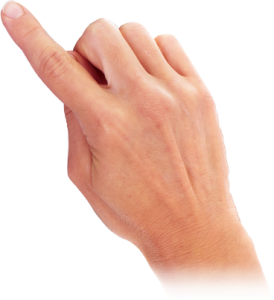 hand-274x300.png